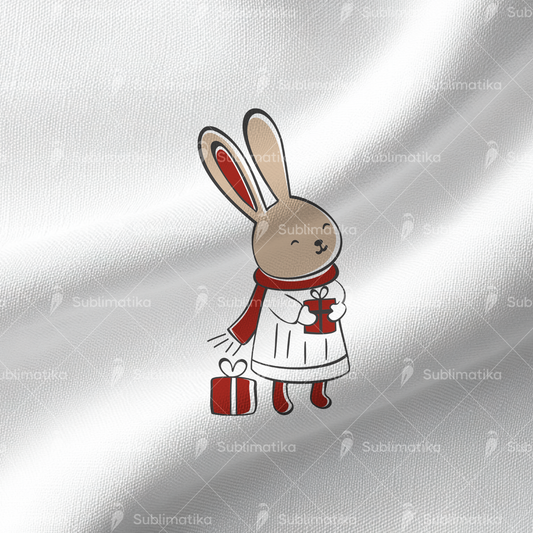 Christmas Bunny Gift