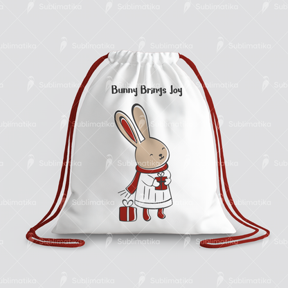 Christmas Bunny Gift